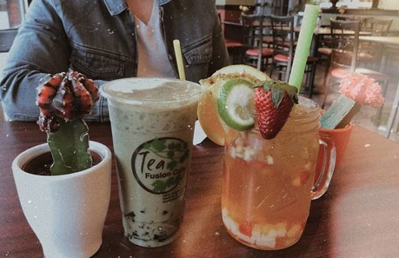 Four Main Types Of Tea