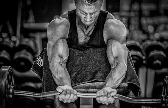 Maximize Bodybuilding Workouts